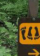 Sign Language